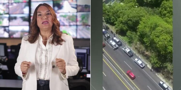 Seguridad Morelos (1)