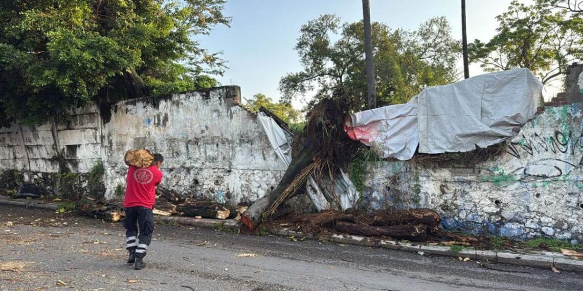 Seprac atiende inundaciones y caída de árboles en Cuernavaca