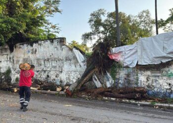 Seprac atiende inundaciones y caída de árboles en Cuernavaca