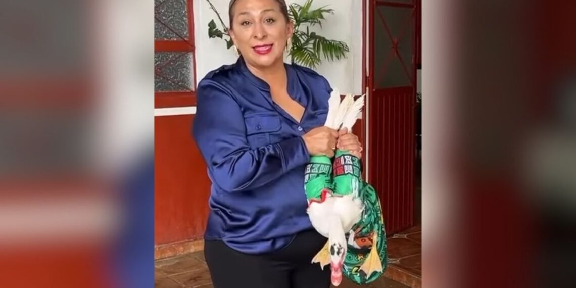 Viral Michoacan