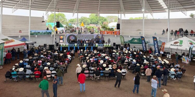 Yecapixtla (1)