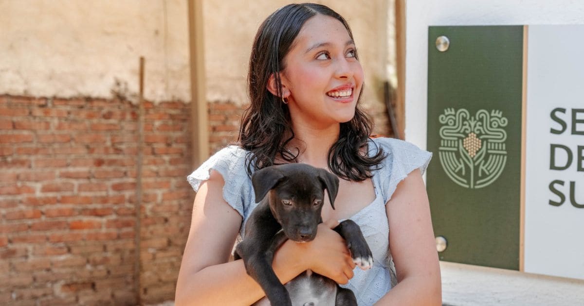 protección animal (1)